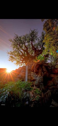 the sun is setting behind a tree on top of a rock formation with water cascading from it