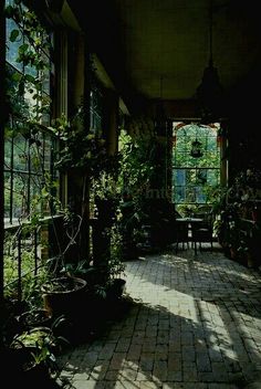 the sun shines through an open window into a room filled with potted plants