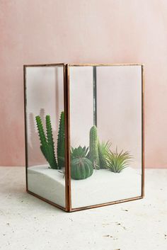 a plant in a glass container on top of a white counter next to a pink wall