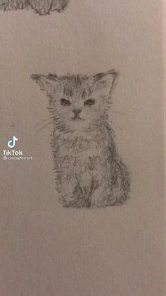 a drawing of a cat sitting next to a kitten on top of a piece of paper