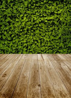 an empty wooden floor in front of a green wall with leaves on the top and bottom