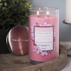 Pink Cherry Blossom Jar Candle Cherry Blossom Candle, Cherry Blossom Scent, Spring Fragrances, Blossom Season, Bath Body Works Candles, Pink Cherry Blossom, Cherry Blossom Season, Clear Jars, Pink Cherry