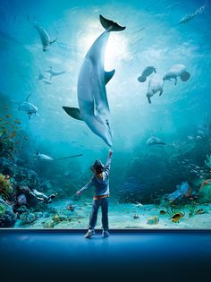 a young boy standing in front of an aquarium