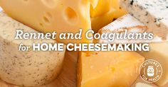 several different types of cheese on a cutting board with the words rennet and goggulants for home cheesemaking