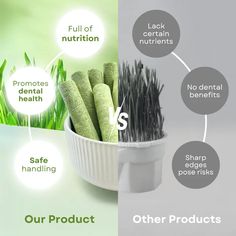 a white bowl filled with green toothbrushes next to an image of the words, safe handling and other products