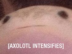 the back of a woman's head with black dots on it and text that reads, faxoloti intensifies