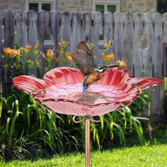 a hummingbird drinking water from a birdbath in the grass next to a fence