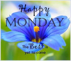 a blue flower with the words happy monday on it