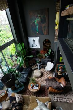 a living room filled with lots of furniture and plants