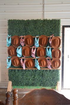 there are many plates and bowls on the wall with green grass behind them, as well as blue napkins