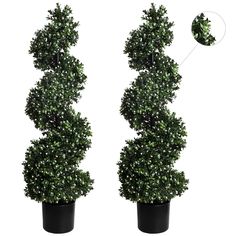 two potted plants are shown side by side, one is green and the other is black