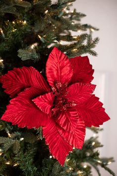 a red poinsettia flower on top of a christmas tree