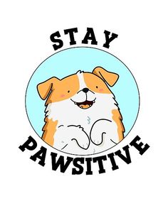 a brown and white dog with the words stay pawsitive