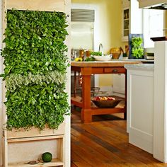 a vertical herb planter in a kitchen next to a table with food on it