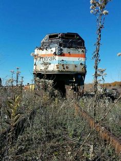 an old train is sitting in the middle of some weeds and trees on a sunny day