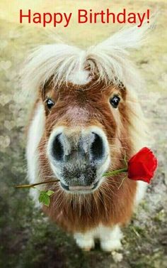 a horse that is standing in the grass with a flower on it's nose