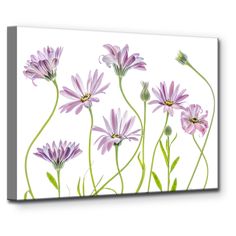 purple flowers on white background canvas wall art print