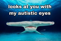 Shark Cute Aesthetic, Shark With Headphones, Sharks Being Cute, Silly Shark Photos, Shark Images, Shark Meme Funny