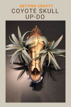 a cow's head with plants growing out of its mouth and the words getting crafty coyote skull up - do