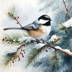 a painting of a bird perched on a branch with berries and pine cones in the snow