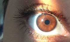 Arts Project, Eyes Aesthetic, Color Eyes, Brown Eyes, Cool Eyes, Medium Art