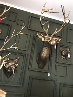 deer head mounted to the wall with eyeglasses on it's backs and antlers