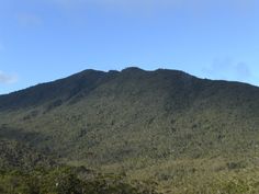 there is a large mountain with trees on the side and blue sky in the background