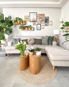 a living room filled with furniture and potted plants