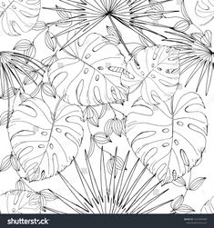 black and white drawing of tropical leaves on a white background stock photo, images and royalty