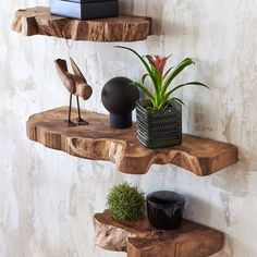 three wooden shelves with plants and vases on them