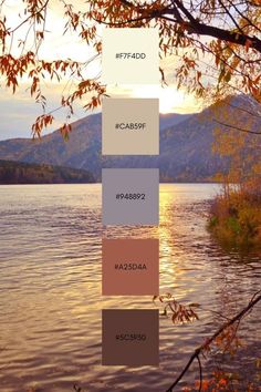 the color scheme for autumn is shown in shades of brown, beige, and green