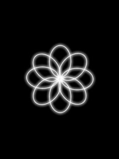 an image of a flower on a black background