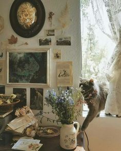 a cat standing on its hind legs in front of a table filled with pictures and flowers