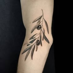 an olive branch tattoo on the right arm and lower leg, with black olives growing out of it