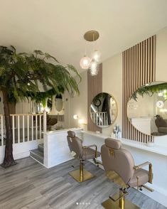 a hair salon with chairs and mirrors in front of a palm tree on the floor