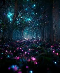 a forest filled with lots of green and purple flowers next to trees covered in stars