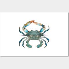 a blue crab with two crabs on it's back