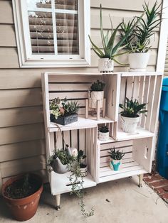 some plants are sitting on shelves in front of a house