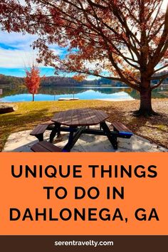 a picnic table under a tree with the words unique things to do in dahlonega, ga