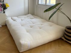 a white futon mattress sitting on top of a hard wood floor next to a potted plant