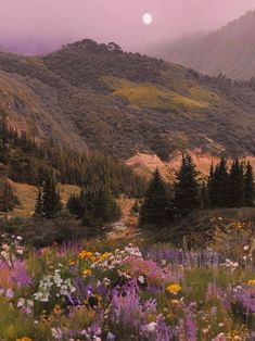 a field full of flowers and trees in front of a mountain with the moon above it