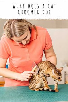 a woman in an orange shirt is petting a cat on the table with text overlay that reads, what does a cat groomer do?