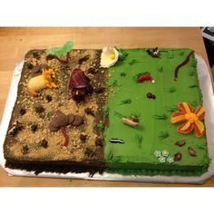 a cake that is decorated with different types of animals and plants on top of it