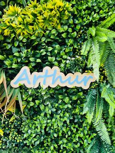 the word anther spelled in wood on top of a green wall with lots of plants