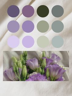 a bunch of purple flowers sitting on top of a white bed sheet with different colors