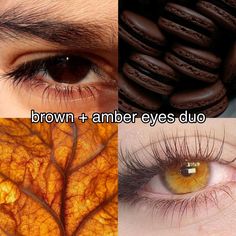 Dark Amber Eyes, Eye Claim, Pretty Eyes Color, Rare Eye Colors, Spanish Words For Beginners, Eye Color Chart, Rare Eyes, Beautiful Eyes Color, Rich Women Lifestyle