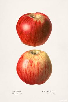 two red apples sitting on top of each other