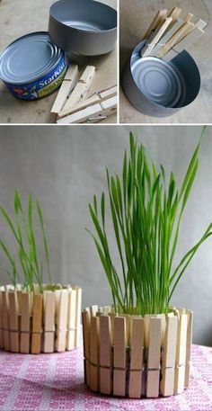 three wooden planters with grass growing out of them on a pink and white table cloth