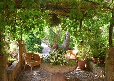 an outdoor patio with potted plants and chairs under a pergolated canopy over a stone table