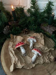 two small mushrooms sitting on top of a piece of paper next to some pine cones